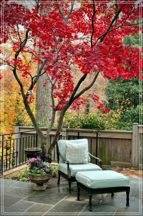 IDEAS TO DECORATE SMALL PATIOS
